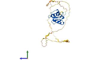 Protein Structure (PS) image for Spi-B Transcription Factor (Spi-1/PU.1 Related) (SPIB) (AA 1-262) protein (His tag) (ABIN7546345)