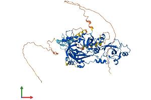 Protein Structure (PS) image for Mbt Domain Containing 1 (MBTD1) (AA 1-631) protein (His tag) (ABIN7557999)