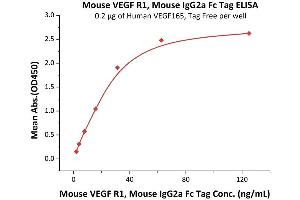 Immobilized Human VEGF165, Tag Free (ABIN2181903,ABIN2693608,ABIN3071747) at 2 μg/mL (100 μL/well) can bind Mouse VEGF R1, Mouse IgG2a Fc Tag, low endotoxin (ABIN5674650,ABIN6253654) with a linear range of 2-31 ng/mL (QC tested). (FLT1 Protein (AA 23-759) (Fc Tag))