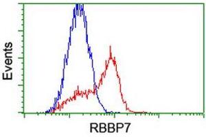 HEK293T cells transfected with either RC217969 overexpress plasmid (Red) or empty vector control plasmid (Blue) were immunostained by anti-RBBP7 antibody (ABIN2455168), and then analyzed by flow cytometry. (RBBP7 抗体)