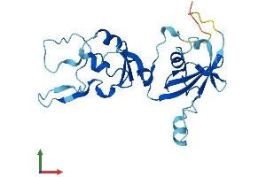 Protein Structure (PS) image for Cytochrome B5 Domain Containing 1 (CYB5D1) (AA 1-228) protein (His tag) (ABIN7552900)