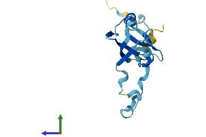 Protein Structure (PS) image for PDZ Domain Containing 11 (PDZD11) (AA 1-140) protein (His tag) (ABIN7560784)