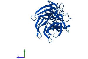Protein Structure (PS) image for Paraoxonase 2 (PON2) (AA 1-354) protein (His tag) (ABIN7557758)