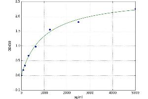Xanthine Oxidase (XOD) ELISA Kit