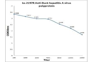 Antigen: 0. (Duck Hepatitis A Virus Polyprotein 抗体)