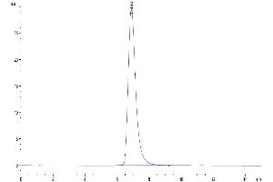 The purity of Biotinylated Human IL-18 R1/CD218a is greater than 95 % as determined by SEC-HPLC.
