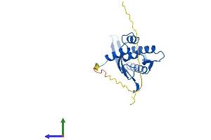 Protein Structure (PS) image for Sorting Nexin 10 (SNX10) (AA 1-201) protein (His tag) (ABIN7546073)