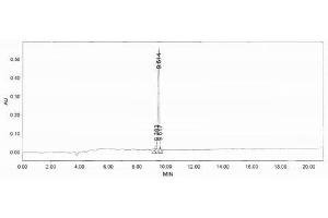 Image no. 2 for Prolactin (PRL) peptide (Ovalbumin) (ABIN5666359) (Prolactin (PRL) peptide (Ovalbumin))