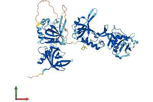Protein Structure (PS) image for Protection of Telomeres 1 (POT1) (AA 1-640) protein (His tag) (ABIN7564795)