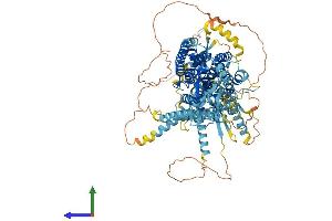 Protein Structure (PS) image for Anoctamin 2 (ANO2) (AA 1-1002) protein (His tag) (ABIN7564561)