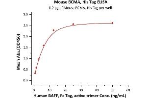 ELISA image for Tumor Necrosis Factor Receptor Superfamily, Member 17 (TNFRSF17) (AA 1-49) (Active) protein (His tag) (ABIN5954937)