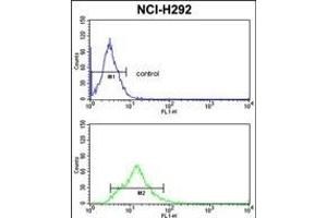 Flow Cytometry (FACS) image for anti-Transgelin (TAGLN) (AA 139-167), (C-Term) antibody (ABIN390627)