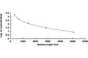ELISA image for Endorphin beta (beta-EP) CLIA Kit (ABIN4947394)