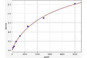 CST9 ELISA 试剂盒