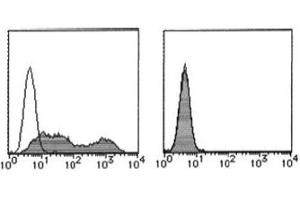 Flow Cytometry (FACS) image for anti-Podoplanin (PDPN) antibody (FITC) (ABIN2853606)