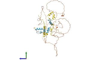 Protein Structure (PS) image for Sp9 Transcription Factor (SP9) (AA 1-484) protein (His tag) (ABIN7546223)