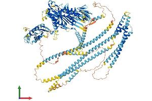 Protein Structure (PS) image for Kinesin Family Member 16B (KIF16B) (AA 1-1312) protein (His tag) (ABIN7562034)
