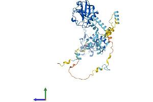 Protein Structure (PS) image for Peptidylprolyl Isomerase (Cyclophilin)-Like 2 (PPIL2) (AA 1-520) protein (His tag) (ABIN7555067)
