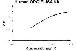 Human OPG PicoKine ELISA Kit standard curve (Osteoprotegerin ELISA 试剂盒)