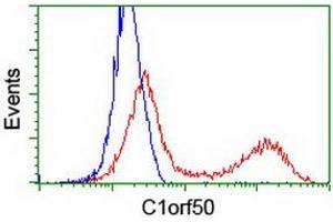 HEK293T cells transfected with either RC200134 overexpress plasmid (Red) or empty vector control plasmid (Blue) were immunostained by anti-C1orf50 antibody (ABIN2454603), and then analyzed by flow cytometry. (C1ORF50 抗体)