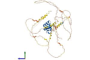 Protein Structure (PS) image for Ets2 Repressor Factor (ERF) (AA 1-548) protein (His tag) (ABIN7547365)