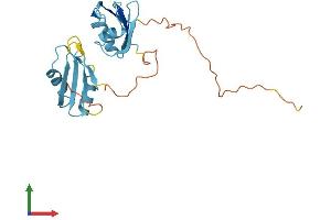 Protein Structure (PS) image for serine/arginine-Rich Splicing Factor 9 (SFRS9) (AA 1-221) protein (His tag) (ABIN7546444)