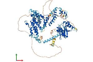 Protein Structure (PS) image for K(lysine) Acetyltransferase 2B (KAT2B) (AA 1-813) protein (His tag) (ABIN7565074)
