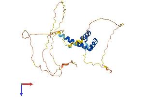 HOXC11 Protein (AA 1-304) (His tag)