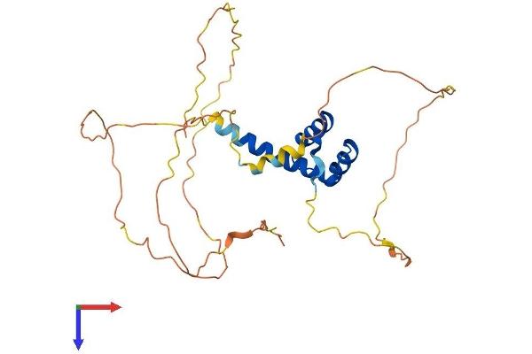 HOXC11 Protein (AA 1-304) (His tag)