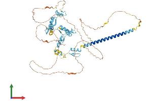 Protein Structure (PS) image for Zinc Finger Protein 384 (ZNF384) (AA 1-577) protein (His tag) (ABIN7545268)