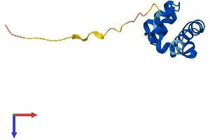 Sterile alpha Motif Domain Containing 13 (SAMD13) (AA 1-102) protein (His tag)