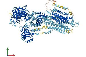 Protein Structure (PS) image for ATPase, Ca++ Transporting, Cardiac Muscle, Slow Twitch 2 (ATP2A2) (AA 1-1044) protein (His tag) (ABIN7562490)