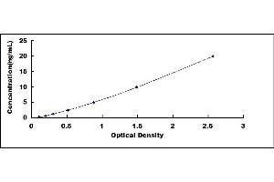 Typical standard curve (SMAD1 ELISA 试剂盒)