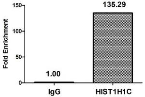 Chromatin Immunoprecipitation Hela (4*10 6 ) were treated with Micrococcal Nuclease, sonicated, and immunoprecipitated with 5 μg anti-HIST1H1C (ABIN7139280) or a control normal rabbit IgG. (HIST1H1C 抗体  (2meLys45))