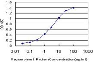Detection limit for recombinant GST tagged NME1 is approximately 0. (NME1 抗体  (AA 43-152))