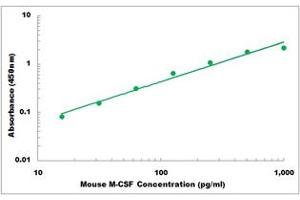 Representative Standard Curve (M-CSF/CSF1 ELISA 试剂盒)