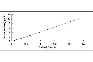 Typical standard curve (ABCC2 ELISA 试剂盒)
