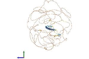 Protein Structure (PS) image for TSC22 Domain Family, Member 1 (TSC22D1) (AA 1-1073) protein (His tag) (ABIN7555730)