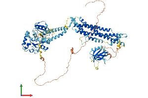 AlphaFold protein structure predicition of Mouse Recombinant Dnm1 Protein, UniprotID P39053