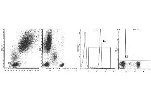 Image no. 1 for anti-CD4 (CD4) antibody (ABIN1106336) (CD4 抗体)
