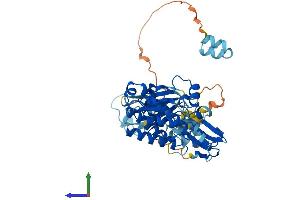 Protein Structure (PS) image for Src-Related Kinase Lacking C-Terminal Regulatory Tyrosine and N-Terminal Myristylation Sites (SRMS) (AA 1-488) protein (His tag) (ABIN7546355)