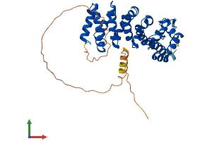 Protein Structure (PS) image for Armadillo Repeat Containing 10 (ARMC10) (AA 1-343) protein (His tag) (ABIN7552302)