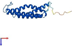 MGST3 Protein (AA 1-152) (His tag)