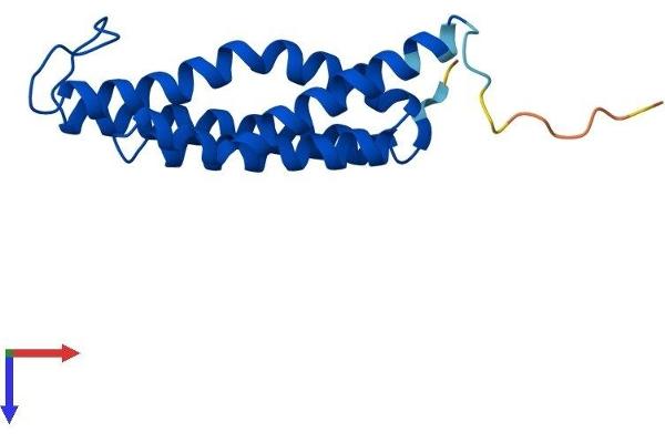 MGST3 Protein (AA 1-152) (His tag)