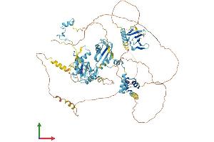 Protein Structure (PS) image for RNA Binding Motif Protein 5 (RBM5) (AA 1-815) protein (His tag) (ABIN7555178)
