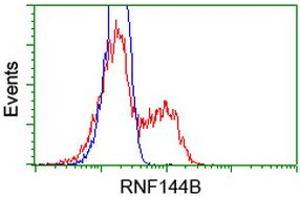 Image no. 3 for anti-Ring Finger Protein 144B (RNF144B) (AA 1-256) antibody (ABIN1490652) (RNF144B 抗体  (AA 1-256))