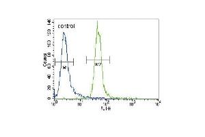 HRX Antibody (C-term) (ABIN387979 and ABIN2844802) flow cytometric analysis of CEM cells (right histogram) compared to a negative control cell (left histogram). (MLL/KMT2A 抗体  (C-Term))