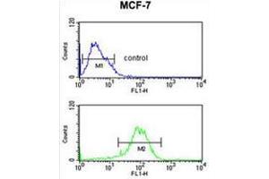 Flow Cytometry (FACS) image for anti-Nuclear Receptor Subfamily 1, Group H, Member 3 (NR1H3) (AA 232-262), (Middle Region) antibody (ABIN953747)