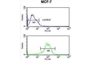 NR1H3 Antibody (Center) flow cytometric analysis of MCF-7 cells (bottom histogram) compared to a negative control cell (top histogram). (NR1H3 抗体  (Middle Region))