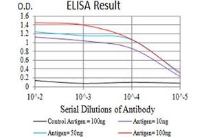 Black line: Control Antigen (100 ng),Purple line: Antigen (10 ng), Blue line: Antigen (50 ng), Red line:Antigen (100 ng) (GLRB 抗体  (AA 23-160))